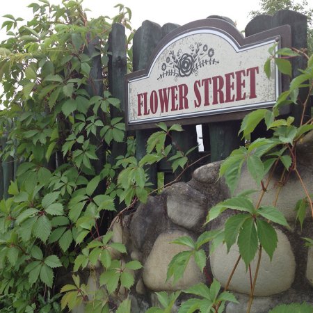 ѳ  "Flower street"
